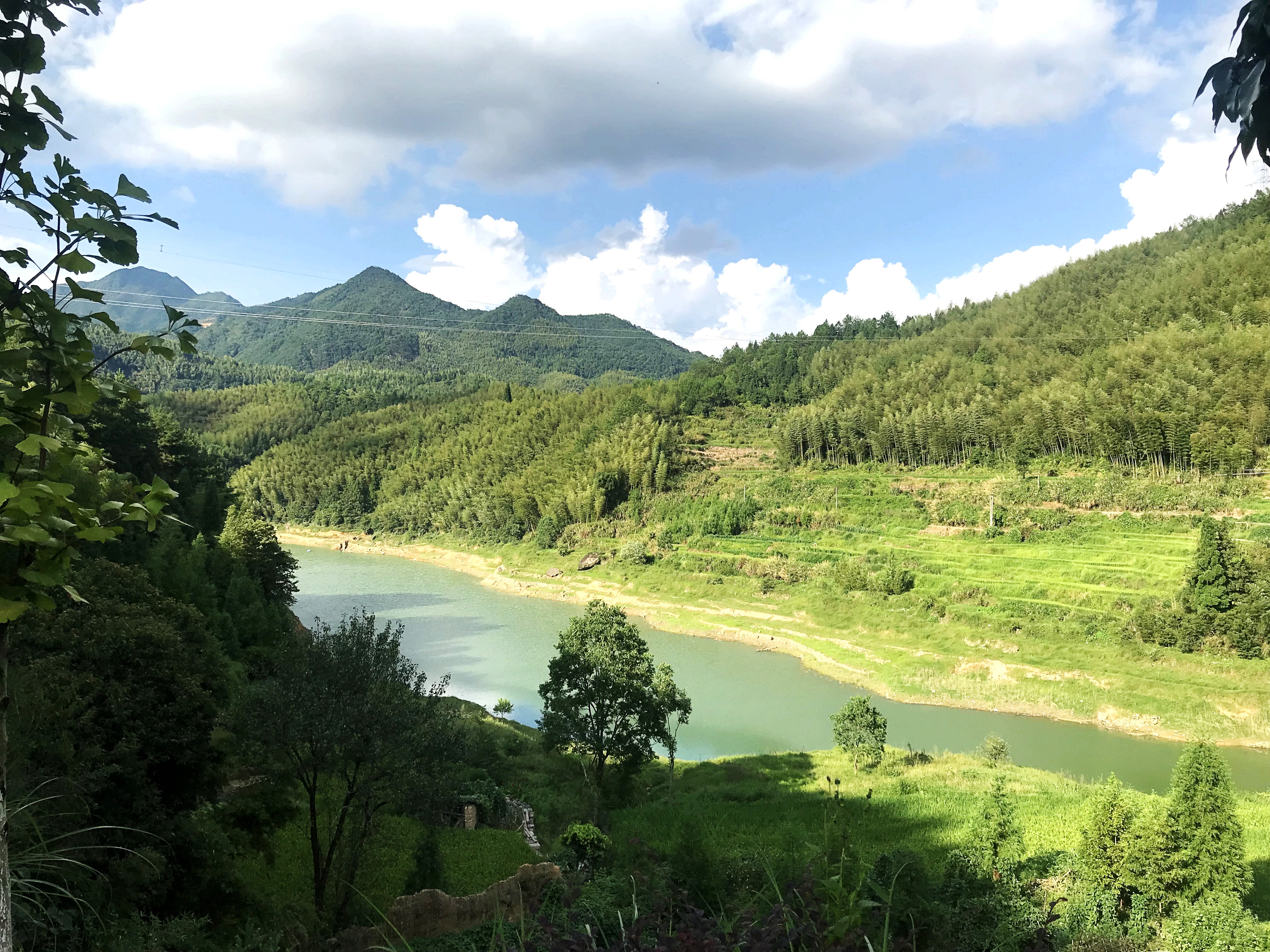 浙江公司中標235國道景寧東坑至泰順司前段改建工程（景寧段）工可編制及勘察設計項目